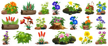 Large Set Of Colorful Flowers On Rocks And Wood