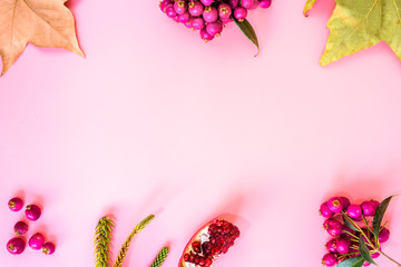 Wall Mural - Pink background with fruits and autumnal motifs, empty center to include text.