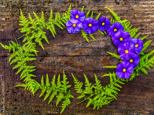 fondo de madera rodeado de plantas y flores