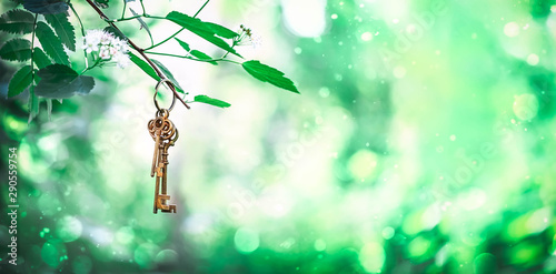 Cuadros en Lienzo vintage golden key in forest