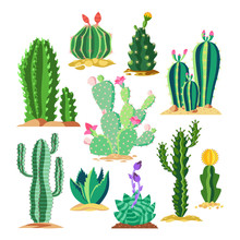 Set Of Wildlife Cactus Or Succulent Plant