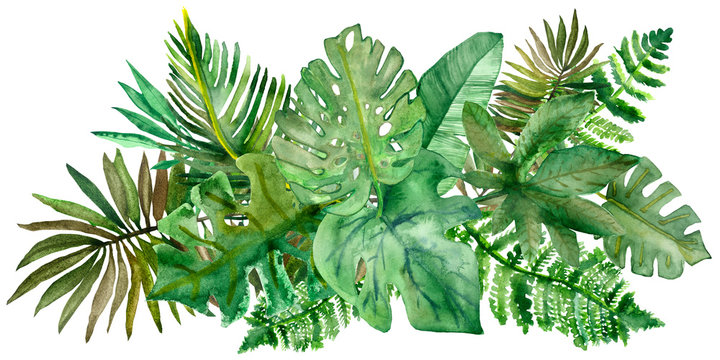 watercolor hand painted nature jungle composition bouquet with different green tropical leaves colle