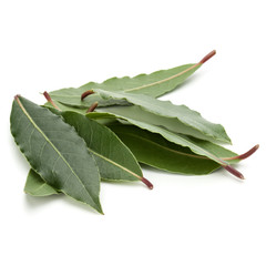 Wall Mural - Aromatic bay leaves