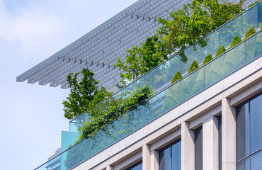 The rooftop terrace with an outdoor garden. Trimmed in the form of cones and hemispheres of boxwood bushes and other plants in tubs. Constructions using galvanized metal and glass panels.