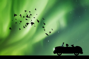Sticker - Cartoon retro car on road at night. Vector illustration with silhouettes of woman and dog traveling in cabriolet. Flocks of birds flying in sky. Northern lights in starry sky. Colorful aurora borealis