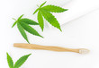 Cannabis CBD toothpaste with Cannabis leafs and wooden toothbrush isolated
