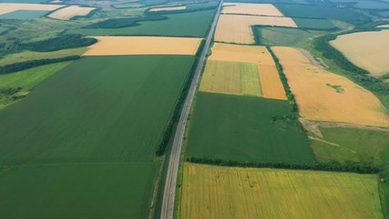 Wall Mural - aerial view of green fields