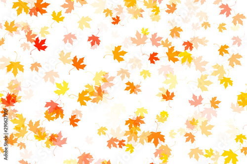 Multi colored autumn leaves on white background