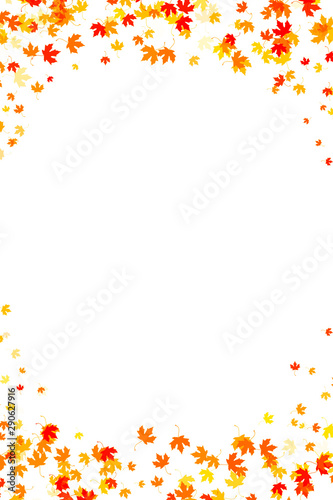 Multi colored autumn leaves on white background