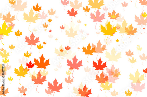 Multi colored autumn leaves background