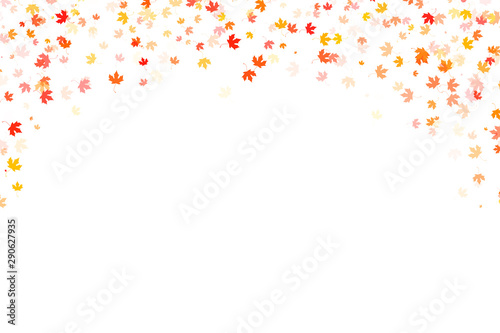Multi colored autumn leaves background