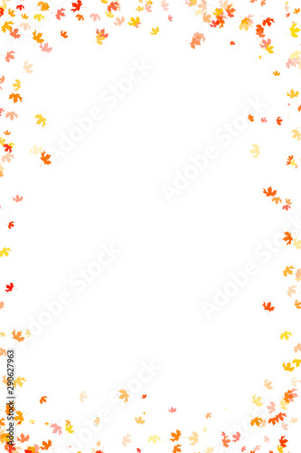 Multi colored autumn leaves on white background