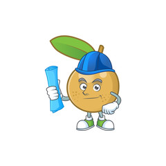 Poster - Architect cute longan fruit cartoon with character mascot.