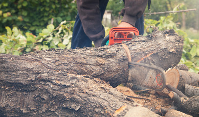 Wall Mural - Man cutting wood with a chainsaw.