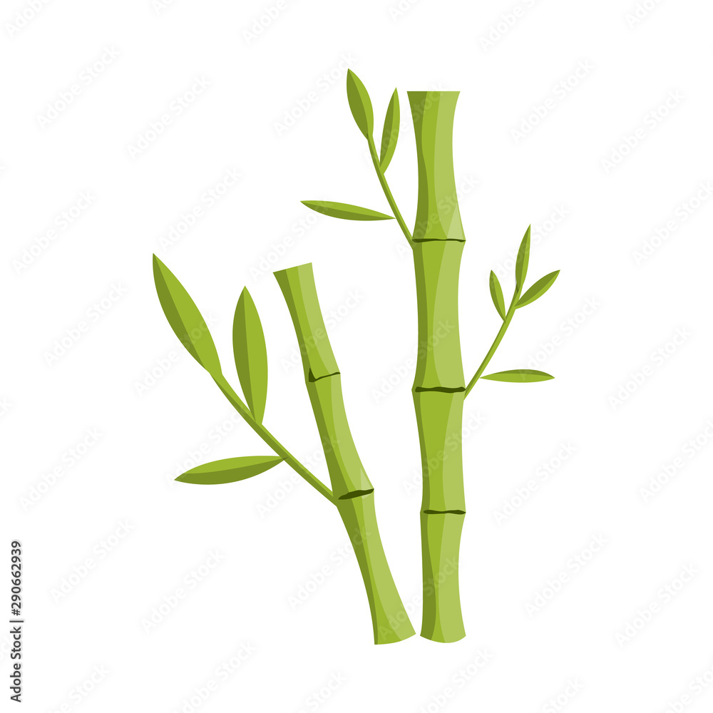 Stockvector Vector illustration of bamboo and tree symbol. Collection of  bamboo and green vector icon for stock. | Adobe Stock