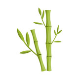 Fototapeta Sypialnia - Vector illustration of bamboo and tree symbol. Collection of bamboo and green vector icon for stock.