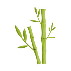  Vector illustration of bamboo and tree symbol. Collection of bamboo and green vector icon for stock.