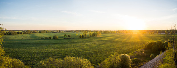 Beautiful sunset at summer day. Amazing nature landscape. View from the top of the hill. Green fields and trees.