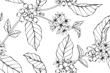 Wall Mural - Coffee flower and leaves pattern seamless background illustration.