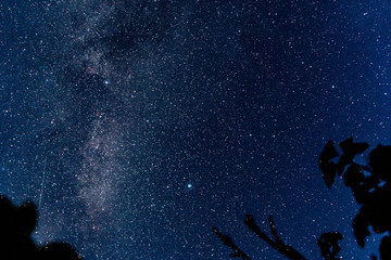 Wall Mural - Overhead milky way with stars in clear summer night. Old barn house. Country side.