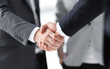 © ASDF - closeup of handshake of business partners