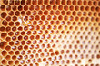 © jchizhe - Wooden frame with honeycomb full of honey. Close up background for design. Macro. Honey beehive