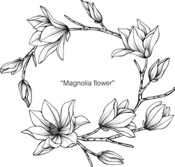 Wall Mural - Magnolia flower and leaf drawing illustration with line art on white backgrounds.