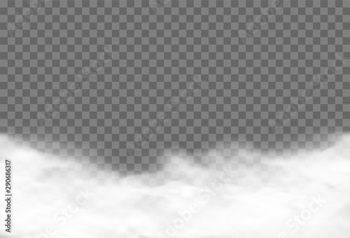 Fotomural Realistic vector cloud over transparent background