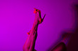 © Global News Art - Red or orange high heels shoes and sexy black woman legs on pink background.