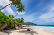Sunny beach with palm and turquoise sea in Seychelles. Summer vacation and tropical beach concept.