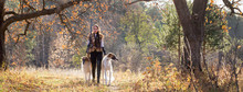 Portrait Of A Beautiful Girl Hunter With Dogs