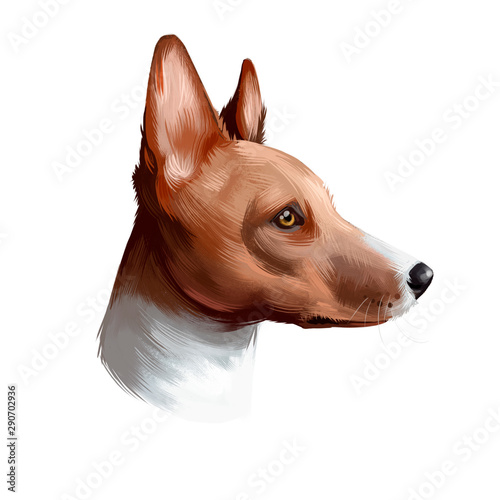 basenji pedigree
