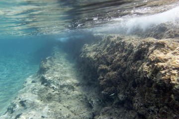  Underwater view of Cape Kamenjak, Istria, Croatia