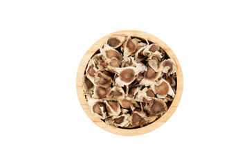 Wall Mural - Moringa Oleifera seed dried on isolated white background.