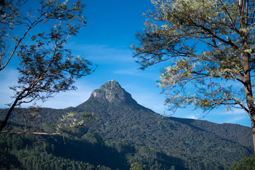 Wall Mural - Sri Pada, Adam's peak in Sri Lanka