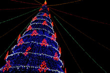 Christmas Tree On A Black Background Decorated With Blue And Red Lights. Bottom View. Copy Space.