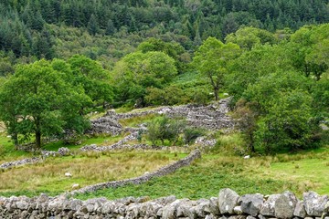 Wall Mural - Stone Wall Structure in a Rural Pasutre