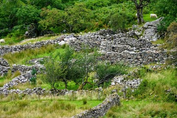 Wall Mural - Stone Wall Structure in a Rural Pasutre