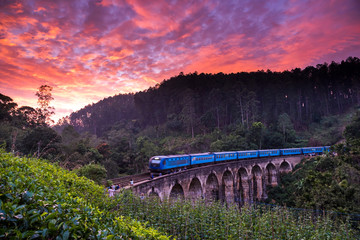 Demodara nine arch bridge, Ella, Sri Lanka