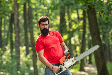 Wall Mural - A handsome young man with a beard carries a tree. Illegal logging continues today. Lumberjack in the woods with chainsaw axe.