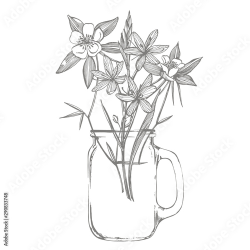 Collection of hand drawn flowers and plants. Botany. Set. Vintage flowers. Bl...