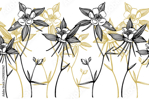 Double Columbine flowers. Collection of hand drawn flowers and plants. Botany...