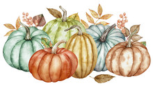 Watercolor Composition Of Colorful Pumpkins And Autumn Leaves. Botanical Illustration.