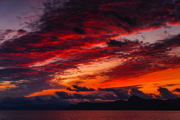 Wall Mural - Beautiful purple sunset on the sea coast