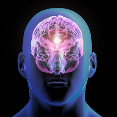 Wall Mural - Front View of Head of a Meditating Man with Brain Illuminated on Black