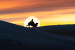 © Sakrapee Nopparat - Camel going through the sand dunes on sunrise, Gobi desert Mongolia.