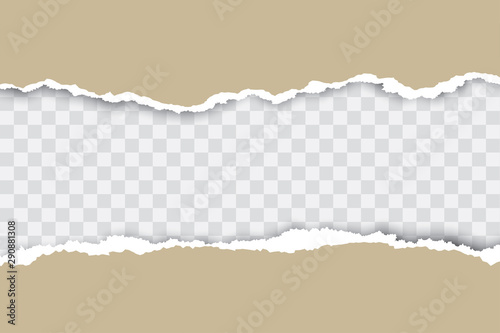 Fotografía Brown ripped paper background with transparency place for your text