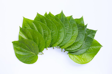 Wall Mural - Green betel leaves, Fresh piper betle on white background.