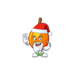 Canvas Print - Santa raw jocote cartoon on white background