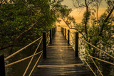 Fototapeta Pomosty - wooden bridge in the forest